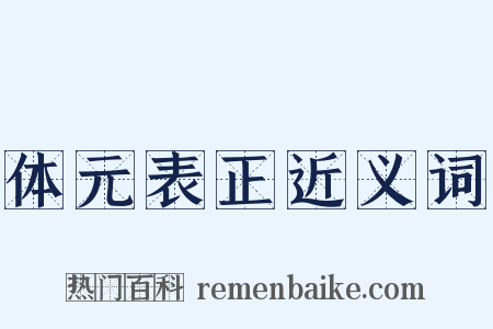 体元表正近义词是什么意思的图片